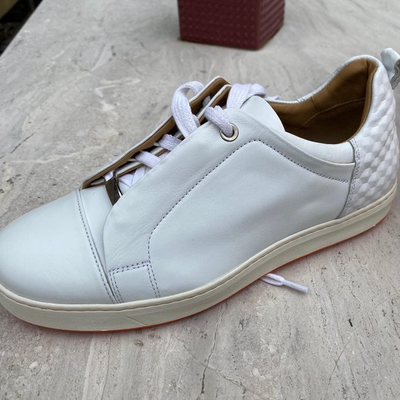 Royal Albartross - Picture 6 of 11